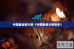 中国最迷路大桥（中国最堵大桥排名）
