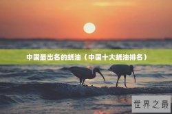 中国最出名的蚝油（中国十大蚝油排名）