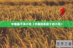 中国最干净小吃（中国排名前十的小吃）