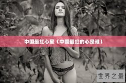 中国最红心星（中国最红的心是谁）