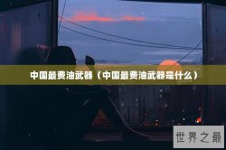 中国最费油武器（中国最费油武器是什么）