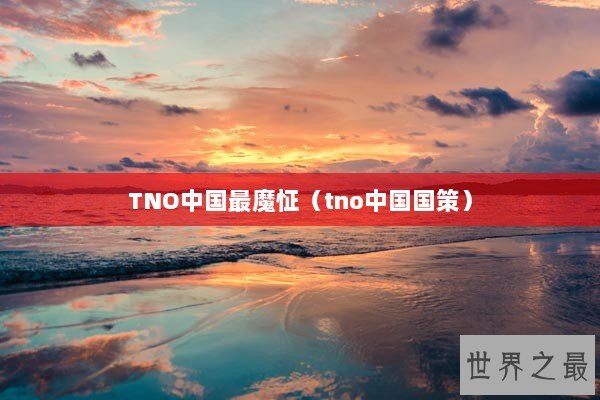 TNO中国最魔怔（tno中国国策）