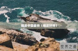 魏晨中国最帅（魏晨好帅）