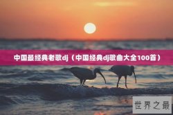 中国最经典老歌dj（中国经典dj歌曲大全100首）