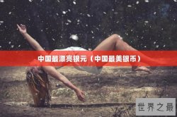 中国最漂亮银元（中国最美银币）