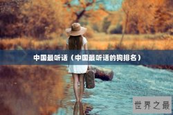 中国最听话（中国最听话的狗排名）