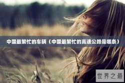 中国最繁忙的车辆（中国最繁忙的高速公路是哪条）