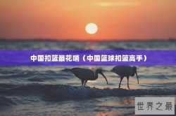 中国扣篮最花哨（中国篮球扣篮高手）