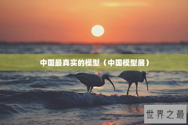 中国最真实的模型（中国模型展）