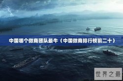 中国哪个微商团队最牛（中国微商排行榜前二十）