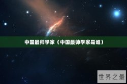 中国最帅学家（中国最帅学家是谁）