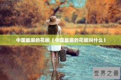 中国最麻的花椒（中国最麻的花椒叫什么）