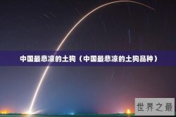 中国最悲凉的土狗（中国最悲凉的土狗品种）