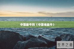 中国最牛吗（中国谁最牛）