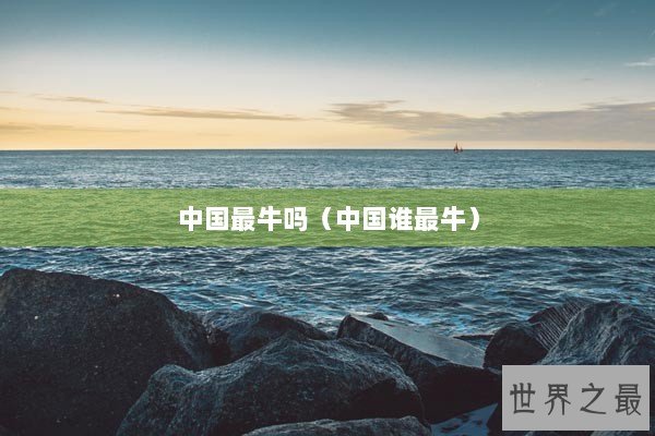 中国最牛吗（中国谁最牛）