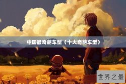 中国最奇葩车型（十大奇葩车型）