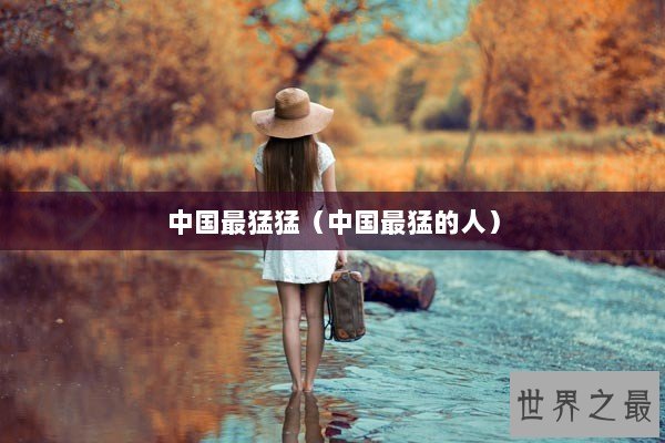 中国最猛猛（中国最猛的人）