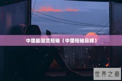 中国最潮流短袖（中国短袖品牌）