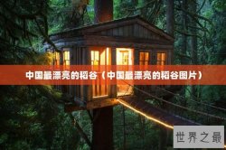 中国最漂亮的稻谷（中国最漂亮的稻谷图片）