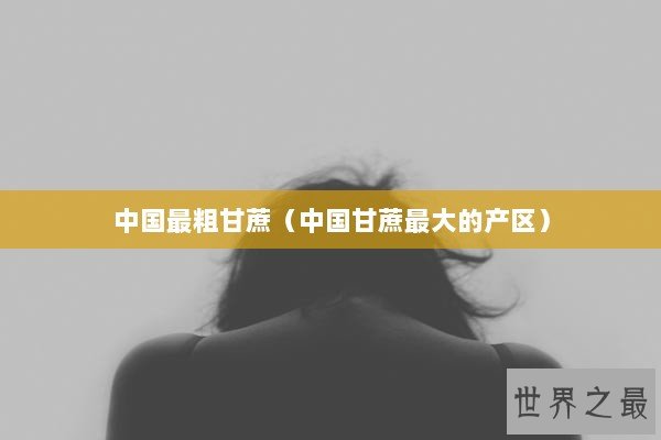 中国最粗甘蔗（中国甘蔗最大的产区）