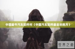中国最牛汽车配件村（中国汽车配件最全的地方）