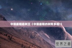 中国最粗杨树王（中国最粗的树有多粗?）