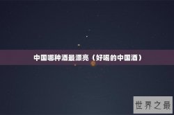 中国哪种酒最漂亮（好喝的中国酒）