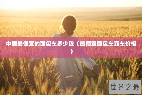 中国最便宜的面包车多少钱（最便宜面包车新车价格）