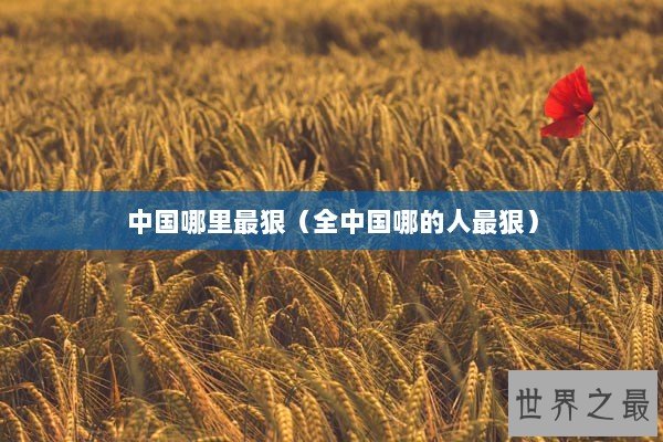 中国哪里最狠（全中国哪的人最狠）