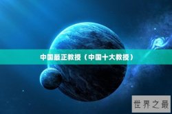 中国最正教授（中国十大教授）