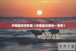 中国最忧伤歌曲（中国最伤感的一首歌）