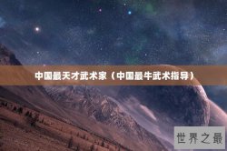 中国最天才武术家（中国最牛武术指导）