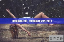 中国最靓小区（中国最顶尖的小区）