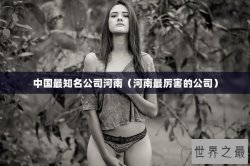 中国最知名公司河南（河南最厉害的公司）