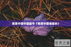 我爱中国中国最牛（我爱中国谁唱的）