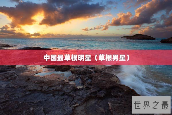 中国最草根明星（草根男星）