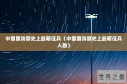 中国国防部史上最萌征兵（中国国防部史上最萌征兵人数）