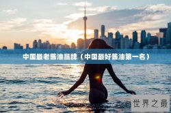 中国最老酱油品牌（中国最好酱油第一名）