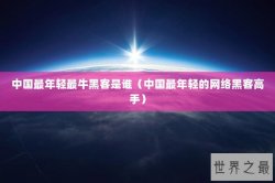 中国最年轻最牛黑客是谁（中国最年轻的网络黑客高手）
