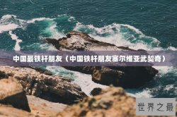 中国最铁杆朋友（中国铁杆朋友塞尔维亚武契奇）
