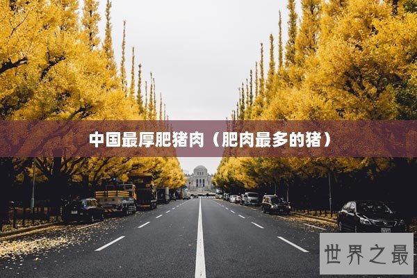 中国最厚肥猪肉（肥肉最多的猪）