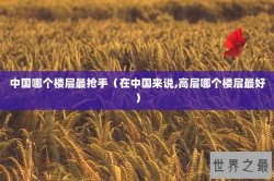中国哪个楼层最抢手（在中国来说,高层哪个楼层最好）