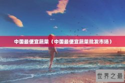 中国最便宜蔬菜（中国最便宜蔬菜批发市场）