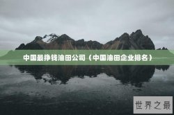 中国最挣钱油田公司（中国油田企业排名）