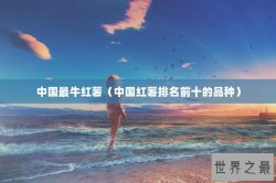 中国最牛红薯（中国红薯排名前十的品种）