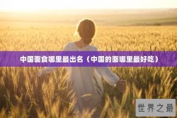中国面食哪里最出名（中国的面哪里最好吃）