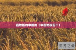 最地板的中国的（中国地板前十）