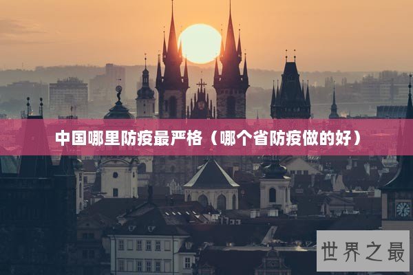 中国哪里防疫最严格（哪个省防疫做的好）