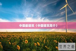 中国最建筑（中国建筑简介）