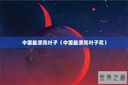 中国最漂亮叶子（中国最漂亮叶子花）